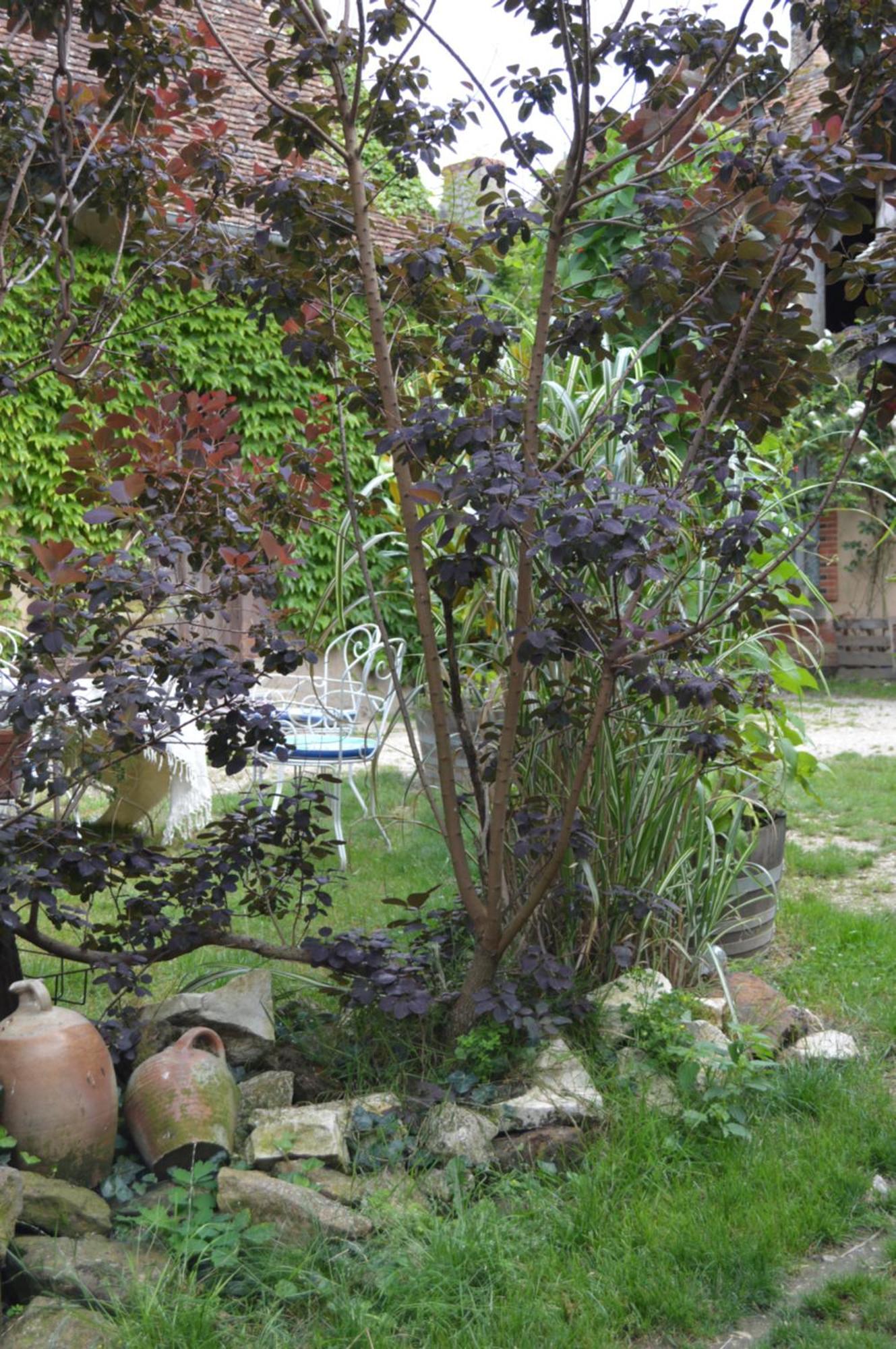La Providence Villa Le Noyer  Dış mekan fotoğraf